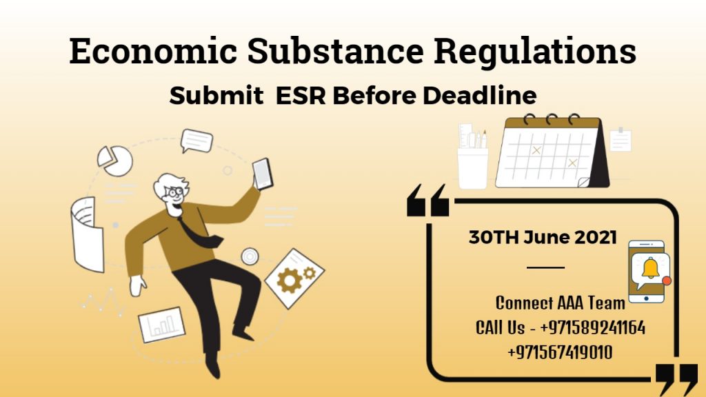 Economic Substance Regulations ESR Submission